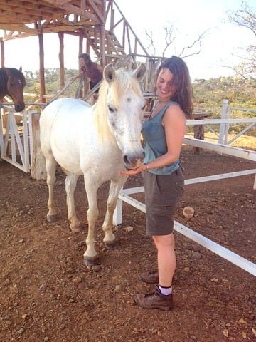 equine therapy costa rica